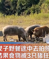 ��Ů��¶ӪҰ�ͣ��������ջ�ͷȴɵ���ˡ�