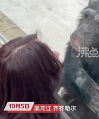 ���ɺ�Ů�ο͸��������ǡ�������һ����˲�����ˣ�