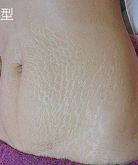 ���������Ƶ��ٴ����֣��ɴ�ŷ�Ϊ����6�����ͣ��������֣�