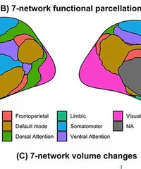 ֻ������Żᡰһ��ɵ���ꡱ��ԭ�����Ƕ�����̰�����