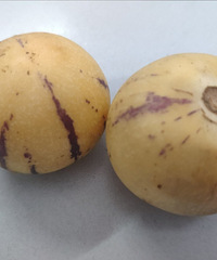 �˲ι�Ƥ���ȥ��