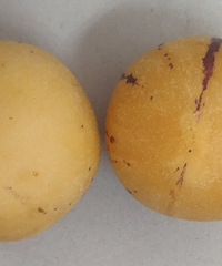 �˲ι�Ƥ���ȥ��