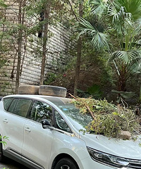 ��ͣ�ڹ�԰����м��·��ס�ˣ�������϶��˺öණ��