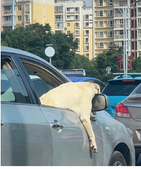 ·�Ͽ�����һĻ�����ܹ�Ҳ�����Լ��ķ��հ�