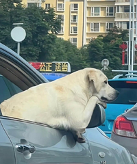 ·�Ͽ�����һĻ�����ܹ�Ҳ�����Լ��ķ��հ�