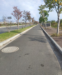 Ϊɶ����100�׵���·Ҫ��ô��񿾮�ǣ�