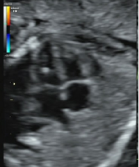 �����ڳ������ա���Щ���������ڳ�����ָ�����˽���