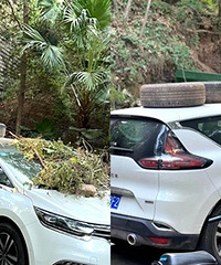 ����·���˽�����϶��˺öණ��