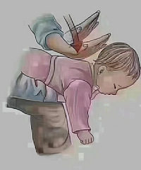 ������Ǻ�̼���