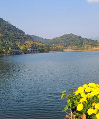 ̨������֮һ�أ�ֲ��԰