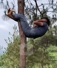 ����������