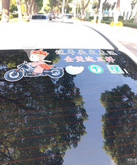 ���������ġ�����ͷ������ȫ��������