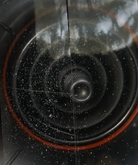 �ҵθ�����������һ������ ������������ĵ�����ɶ��