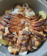 �������ʲô������������