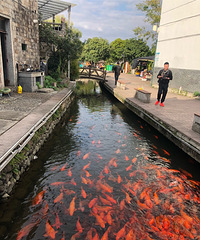 天台后岸十里铁甲龙:“寒岩洞”有支离破碎的美