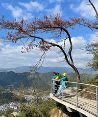 天台后岸十里铁甲龙:“寒岩洞”有支离破碎的美