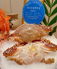 ��ʮ����ʳ�ֲݡ�ţ���ʸ߶˻����Ʒ��