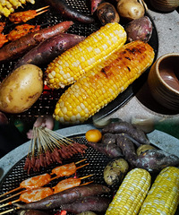 ��ʮ����ʳ�ֲݡ��ɹ��������������