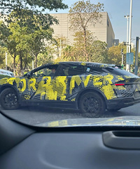 ���������ġ�����ʲô������˾¥��������