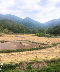 ��������̨�����µ��＾�޶����ʺϴ���ȥ��