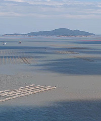 ��Ӱϼ�֣�����ƽ̶�����������صĺ������