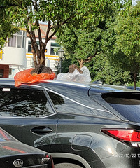 ���������ġ��������ǣ�������ɹ����ɶ������