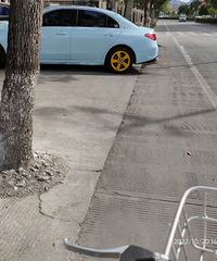 ���������ġ�������������ɫ���������