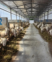 һ��Ե�7�֣������ô�һ֦�ƻ������㽭���϶�����