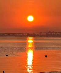 [������]96�꽷��165�ߵĹ���ڹ�����