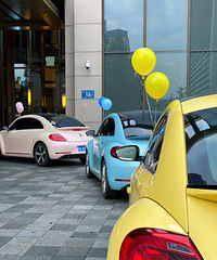 ȫ����ɰ��Ļ鳵�������˷�����