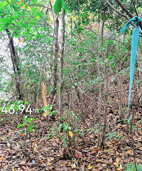 ̽�ò����˹�軯�-�ĳ��������Ĺð���Խ����������ʯ��Ͽ