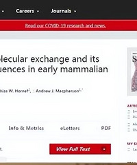 ����Ȼ����־���и������ҳ���ҩ����ʳ�����������Ӱ��̥��