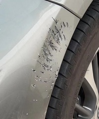 ��ͣ�ڳ��Ᵽ�ոܱ������ˣ�һ���ط��ֽ���ǹ��ɵ�