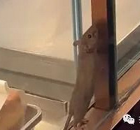 ����������չ�����Ҵܣ��ŵ�ͣҵ���٣�������Ʒ����Ǹ