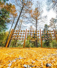 [����]�㽭�����컨�壡������ͯ����