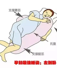 �����ڡ����ԡ�˯�����������������������˯�ģ�