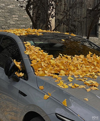 ���������ġ��ۣ������úÿ���ůů�ķ�Χ��