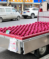 ���������ġ�ԭ����������������Ҳ��ǿ��֢