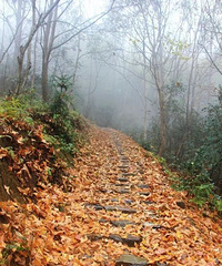 [����]���־�Ⱦ��Ѱ�������ڹŵ���������⾳~