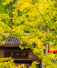 [����]������ɾ�����ױ