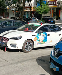 ���������ġ��׳���װ���е�����ĸо�