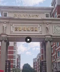 С��������𻯡��޶������������