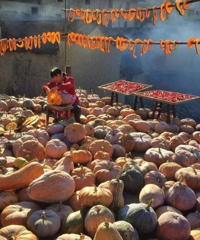 [����]��̨�ݣ���һ�֡���ʰ�쵡���ɹ��