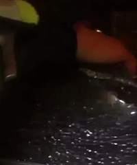 ����Ĵ���ȣ�ͣ�����ڣ�һŮ�ӱ������������