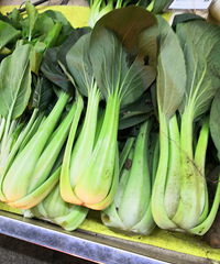 ˪��δ���Ͷ��˷��䶳�Ҷ����źó��������