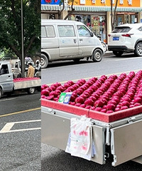 ԭ����������������Ҳ��ǿ��֢