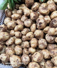 �����������������Ϊɶ�۸�����ô��