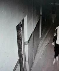 15����������ʧ��40��