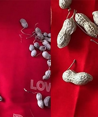 ��ױʦ���ֻ鴲�ϻ������Ծ���ϸ��˲���ס����ô�������Ѷ�����