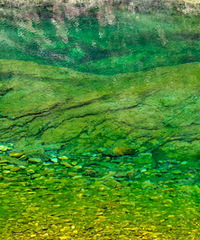 [����]�������й�������Ȼ���ˡ���װ��